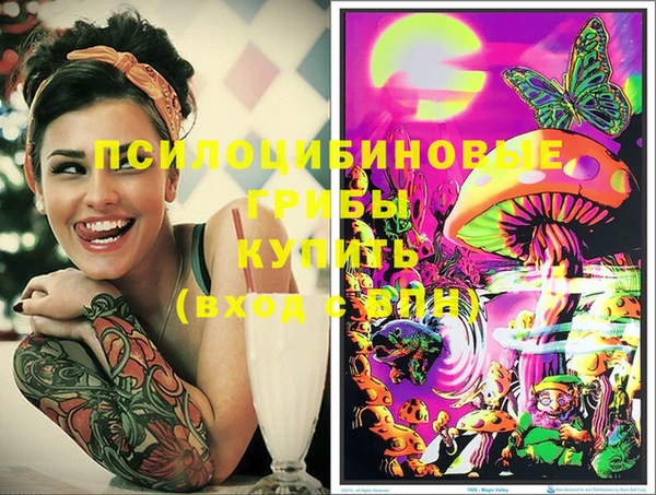 PSILOCYBIN Белокуриха