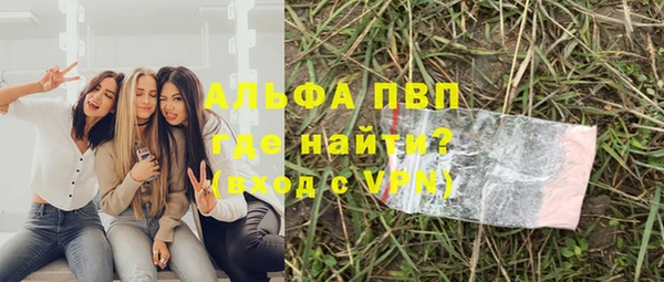 PSILOCYBIN Белокуриха