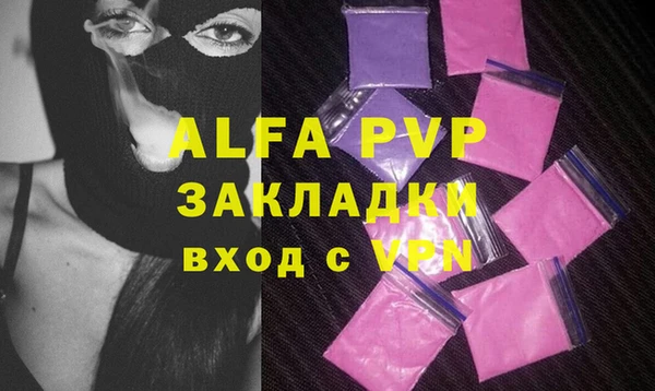 PSILOCYBIN Белокуриха