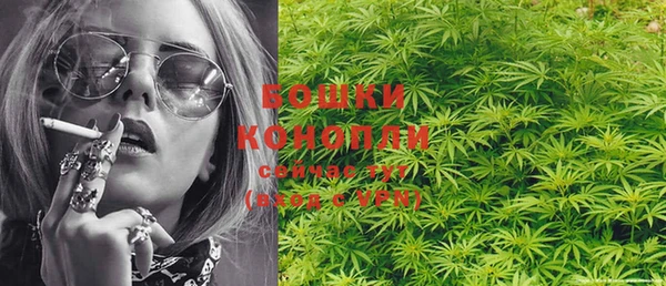 PSILOCYBIN Белокуриха